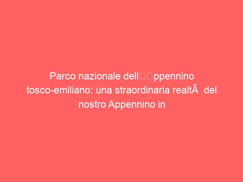 Parco nazionale dell’Appennino tosco-emiliano: una straordinaria realtà del nostro Appennino in attesa del riconoscimento Unesco