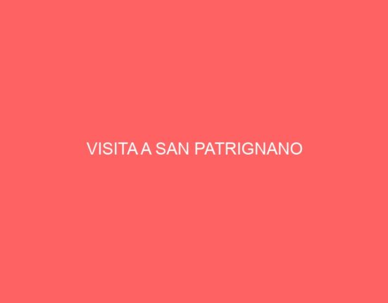 VISITA A SAN PATRIGNANO