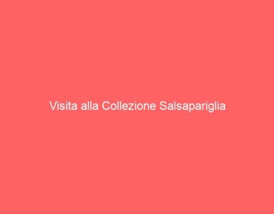 Visita alla Collezione Salsapariglia