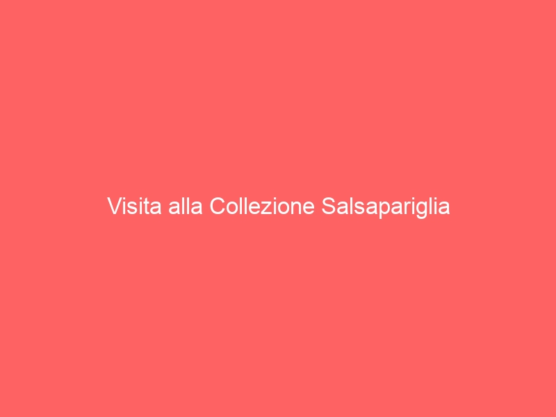 Visita alla Collezione Salsapariglia